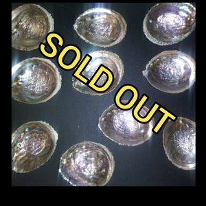 ALL SOLD OUT/ SACRED ABALONE SHELL DECOR SMUDGING BOWL